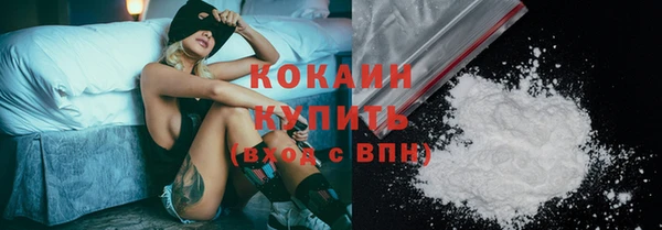 дживик Бородино