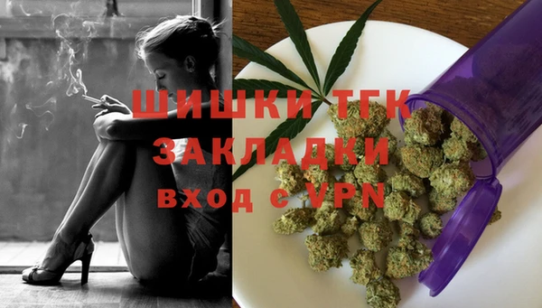 дживик Бородино
