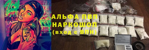 дживик Бородино