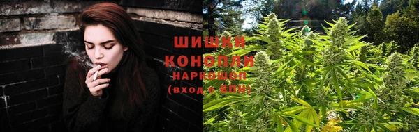 дживик Бородино