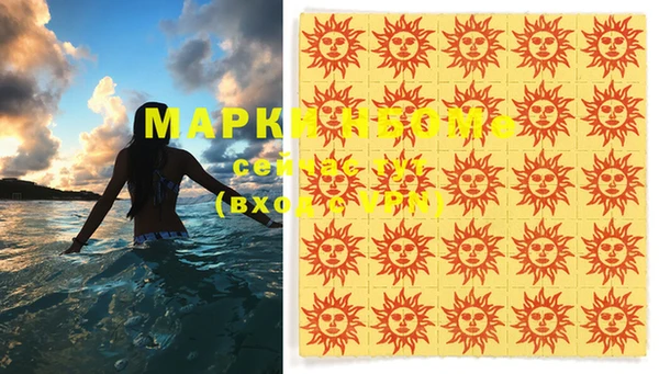 дживик Бородино