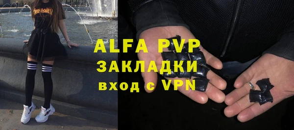 дживик Бородино